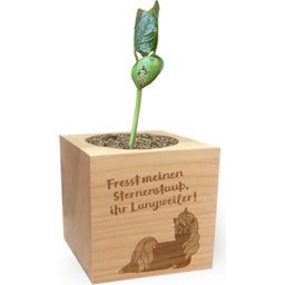 Green Celebrations - Polvere di Stelle - 1 pz.