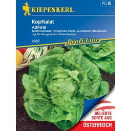Kopfsalat Admiral - 1 Pkg