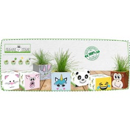 Feel Green Grass Cube - Unicorno Fiorito - 1 pz.
