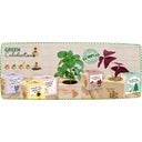 Green Celebrations - Lavanda - 1 pz.