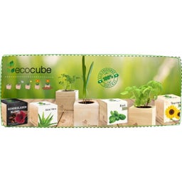 Feel Green ecocube - Albero Orchidea - 1 pz.