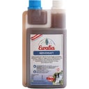 Ewalia 
