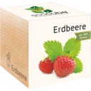 ecocube 