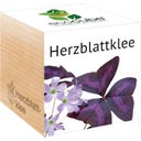 ecocube 