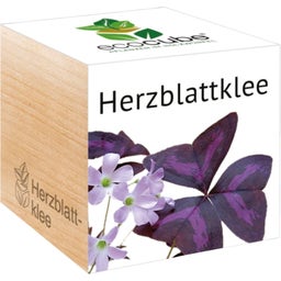 Feel Green ecocube 