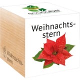 Feel Green ecocube "Weihnachtsstern"