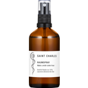 SAINT CHARLES Spray d'Ambiance 