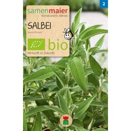 Bio Beet-Box - Per gli Amanti della Francia - 1 set
