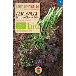 Samen Maier Coffret Beet-Box Bio 