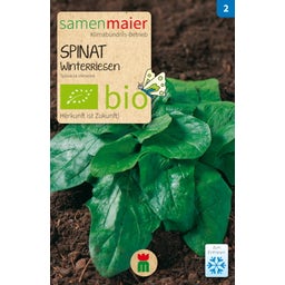 Samen Maier Coffret Beet-Box Bio 