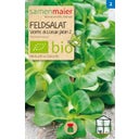 Samen Maier Coffret Beet-Box Bio 