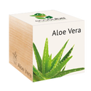 ecocube 