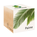 ecocube 