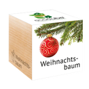 ecocube 