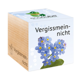 Feel Green ecocube "Vergissmeinnicht"