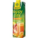 Rauch Happy Day - 100% Multivitamine - 1 L