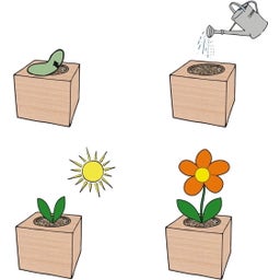 Feel Green ecocube 