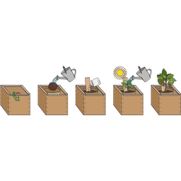 Feel Green ecobox - Peperoncino (Speciale) - 1 pz.