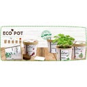 Feel Green ecopot 