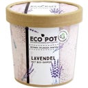 ecopot - Lavanda