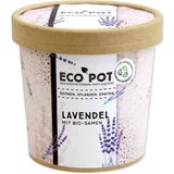 Feel Green ecopot - Lavanda
