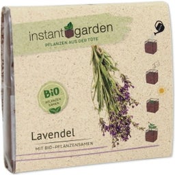 Feel Green instant garden 