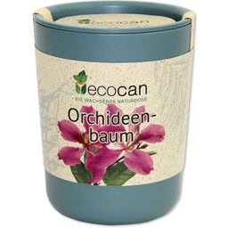 Feel Green Ecocan 