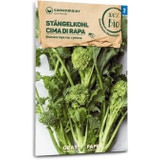 Samen Maier Bio "Cima di rapa" szárkáposzta