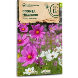 Samen Maier Bio Cosmea - Mischung