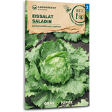 Samen Maier Laitue Iceberg Bio "Saladin"