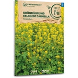 Samen Maier Organic Yellow Mustard "Carnella"