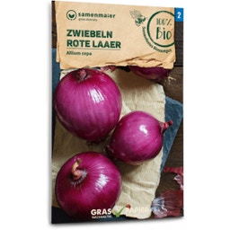 Samen Maier Bio Zwiebeln 