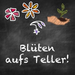 Samen Maier Bio Beet-Box 
