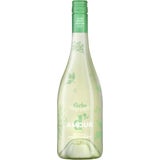 Darbo d'Amour Secco Holunderblüte