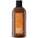 CXEVALO® Schimmelshampoo