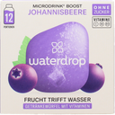 waterdrop Microdrink BOOST Currant