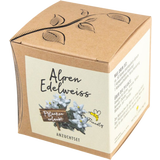 naturkraftwerk Alpine Edelweiss Growing Set