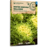 Samen Maier Salade d'Hiver "Wallonne" Bio