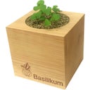 Feel Green ecocube - Erbe Aromatiche