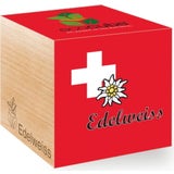 Feel Green ecocube "Edelweiß"